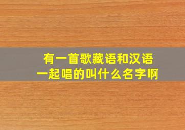 有一首歌藏语和汉语一起唱的叫什么名字啊