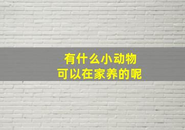 有什么小动物可以在家养的呢