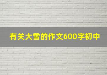 有关大雪的作文600字初中