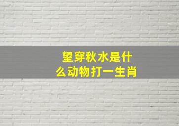 望穿秋水是什么动物打一生肖