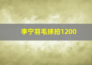 李宁羽毛球拍1200