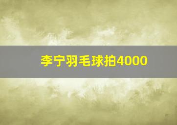 李宁羽毛球拍4000