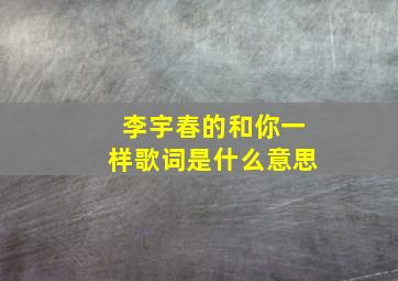 李宇春的和你一样歌词是什么意思