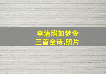 李清照如梦令三首全诗,照片