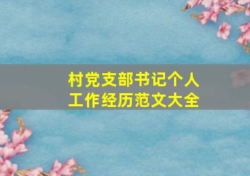 村党支部书记个人工作经历范文大全