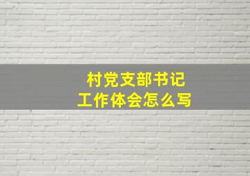 村党支部书记工作体会怎么写