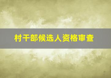 村干部候选人资格审查