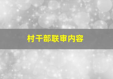 村干部联审内容