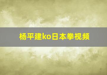 杨平建ko日本拳视频