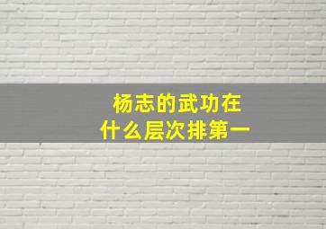 杨志的武功在什么层次排第一