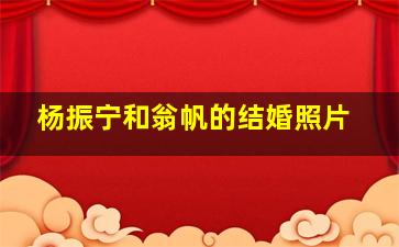 杨振宁和翁帆的结婚照片