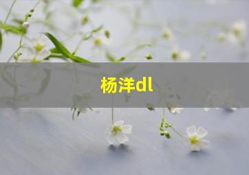 杨洋dl