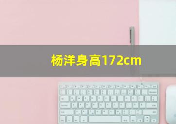 杨洋身高172cm