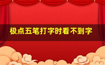 极点五笔打字时看不到字