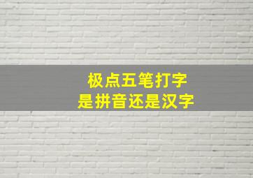 极点五笔打字是拼音还是汉字