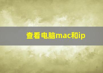 查看电脑mac和ip