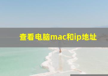 查看电脑mac和ip地址