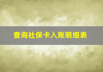 查询社保卡入账明细表