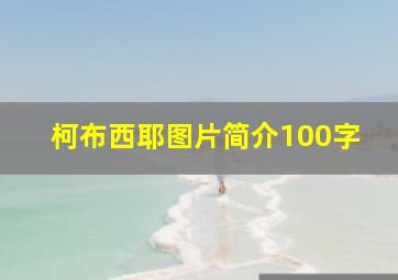 柯布西耶图片简介100字