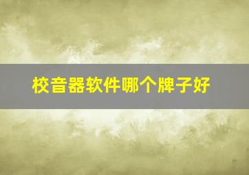 校音器软件哪个牌子好