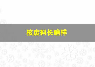 核废料长啥样