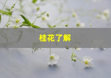 桂花了解