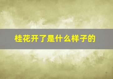 桂花开了是什么样子的