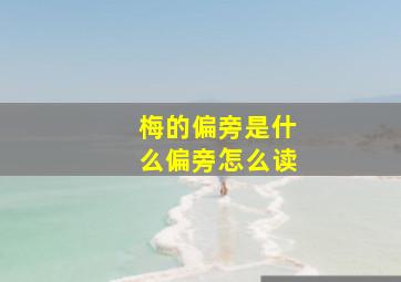 梅的偏旁是什么偏旁怎么读