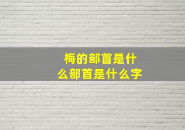 梅的部首是什么部首是什么字