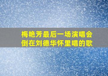 梅艳芳最后一场演唱会倒在刘德华怀里唱的歌