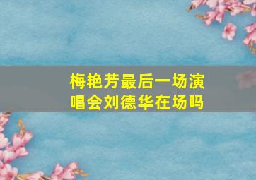 梅艳芳最后一场演唱会刘德华在场吗