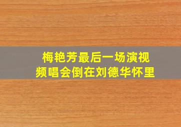 梅艳芳最后一场演视频唱会倒在刘德华怀里