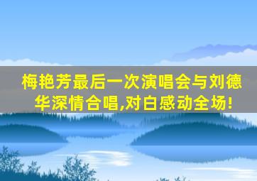 梅艳芳最后一次演唱会与刘德华深情合唱,对白感动全场!