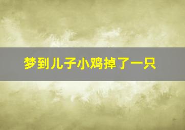 梦到儿子小鸡掉了一只