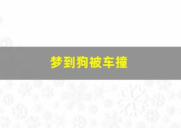 梦到狗被车撞