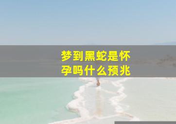 梦到黑蛇是怀孕吗什么预兆