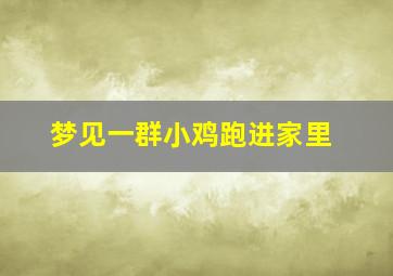 梦见一群小鸡跑进家里