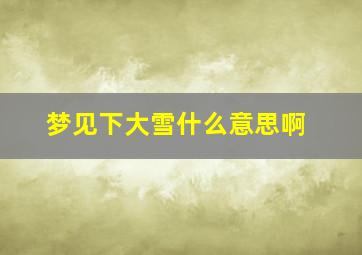 梦见下大雪什么意思啊