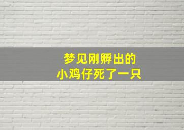 梦见刚孵出的小鸡仔死了一只