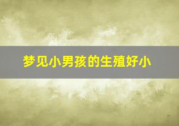 梦见小男孩的生殖好小