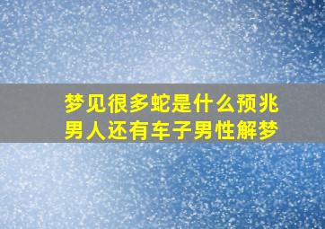 梦见很多蛇是什么预兆男人还有车子男性解梦