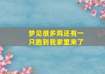 梦见很多鸡还有一只跑到我家里来了