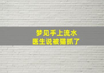 梦见手上流水医生说被猫抓了