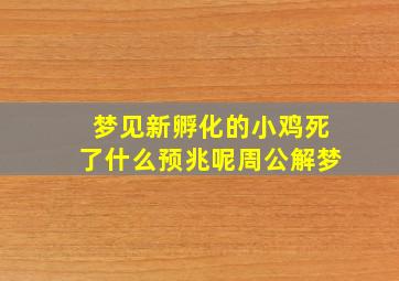 梦见新孵化的小鸡死了什么预兆呢周公解梦