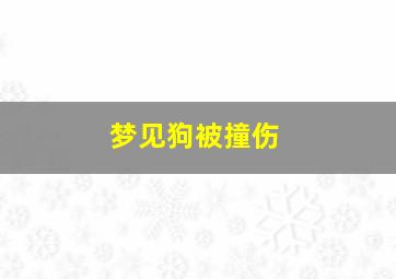 梦见狗被撞伤