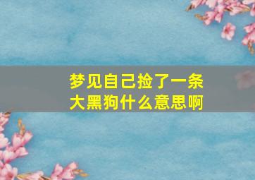 梦见自己捡了一条大黑狗什么意思啊