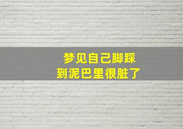 梦见自己脚踩到泥巴里很脏了