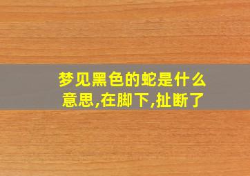 梦见黑色的蛇是什么意思,在脚下,扯断了