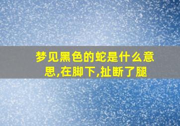 梦见黑色的蛇是什么意思,在脚下,扯断了腿