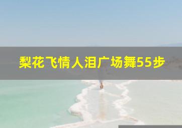 梨花飞情人泪广场舞55步